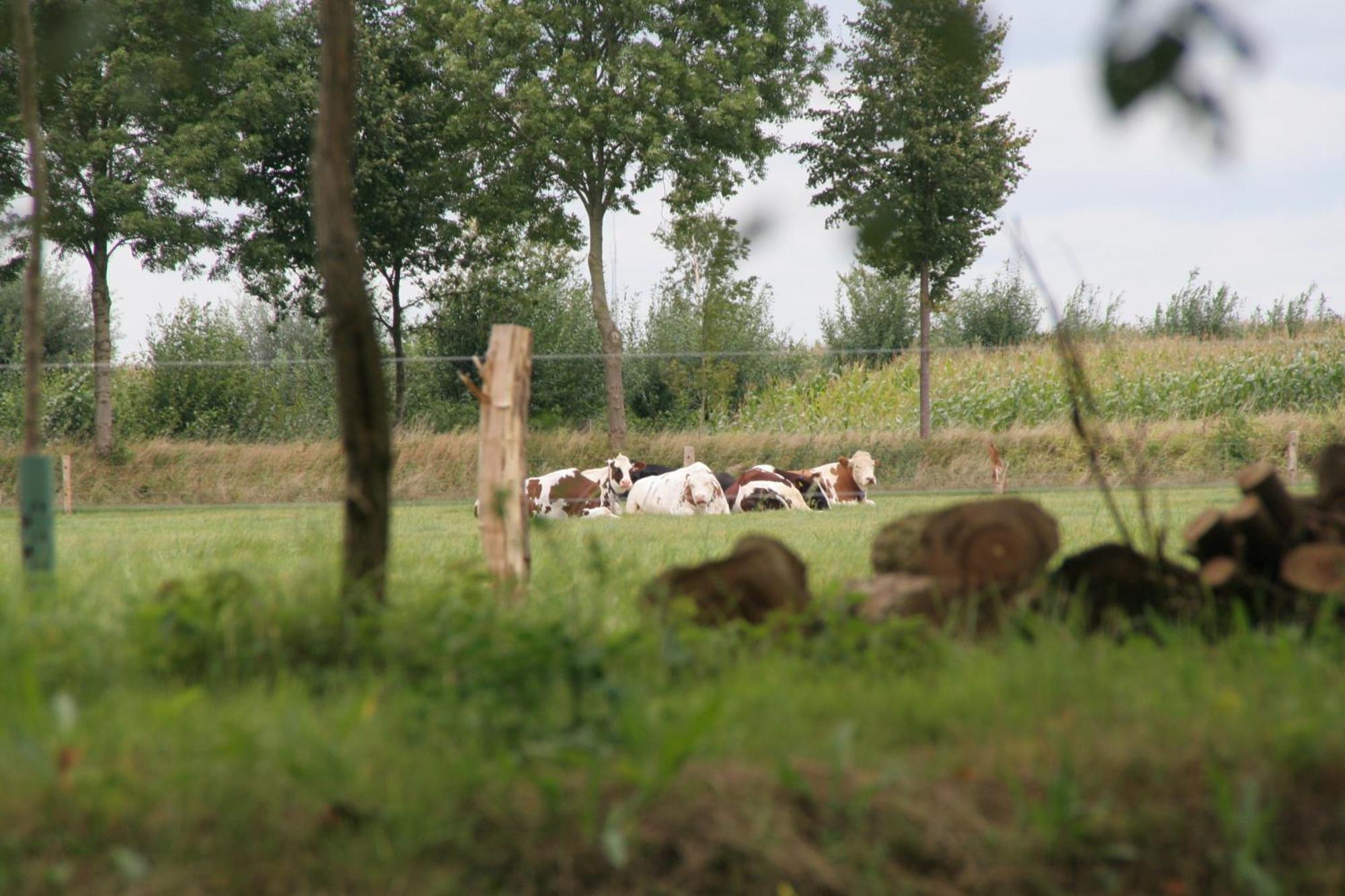Gastenverblijf Eenink Zelhem Bagian luar foto