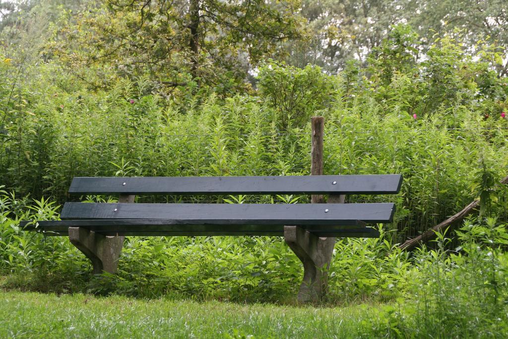 Gastenverblijf Eenink Zelhem Bagian luar foto
