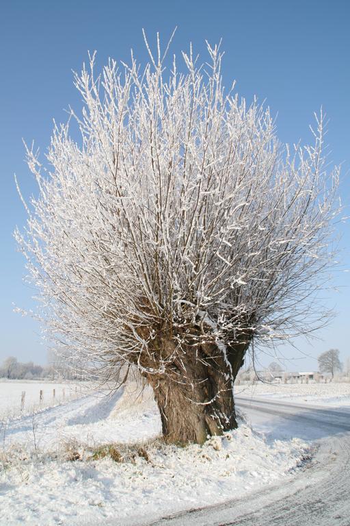 Gastenverblijf Eenink Zelhem Bagian luar foto