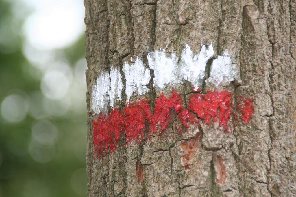 Gastenverblijf Eenink Zelhem Bagian luar foto